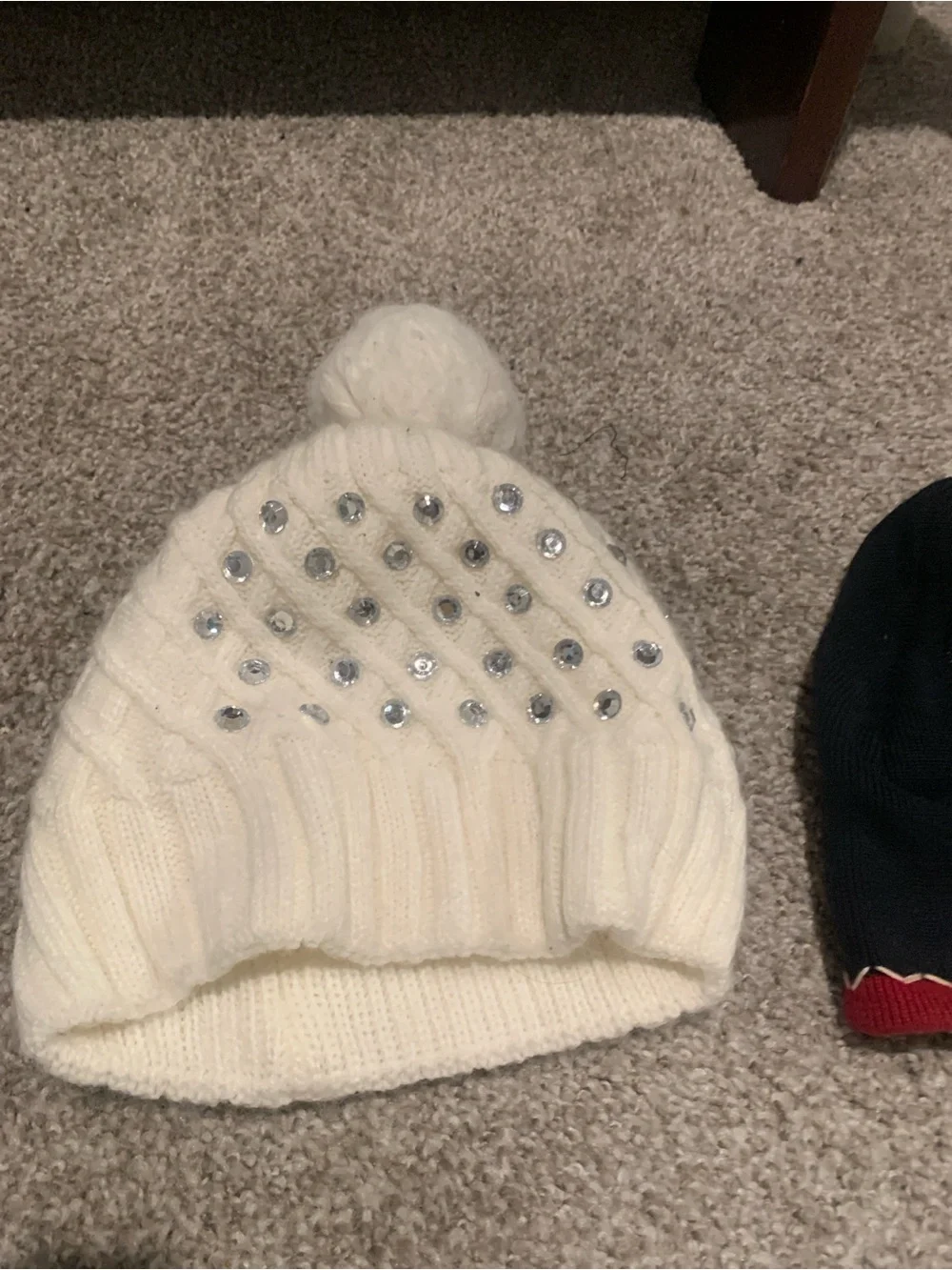 Sinful Black Beanie Hat with Red Roses and Green Leaves a beanie duo!